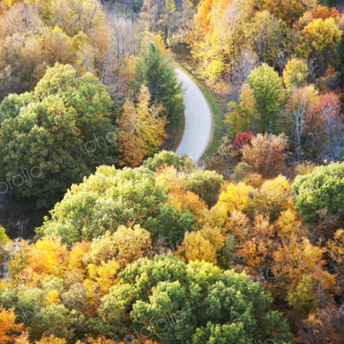 Road running through autumn forest seen from above. Road running through autumn forest seen from above.