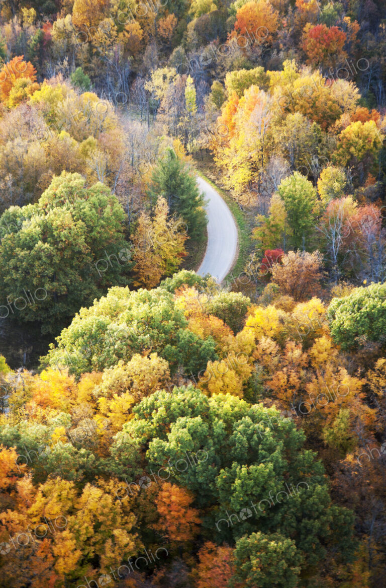 Road running through autumn forest seen from above.