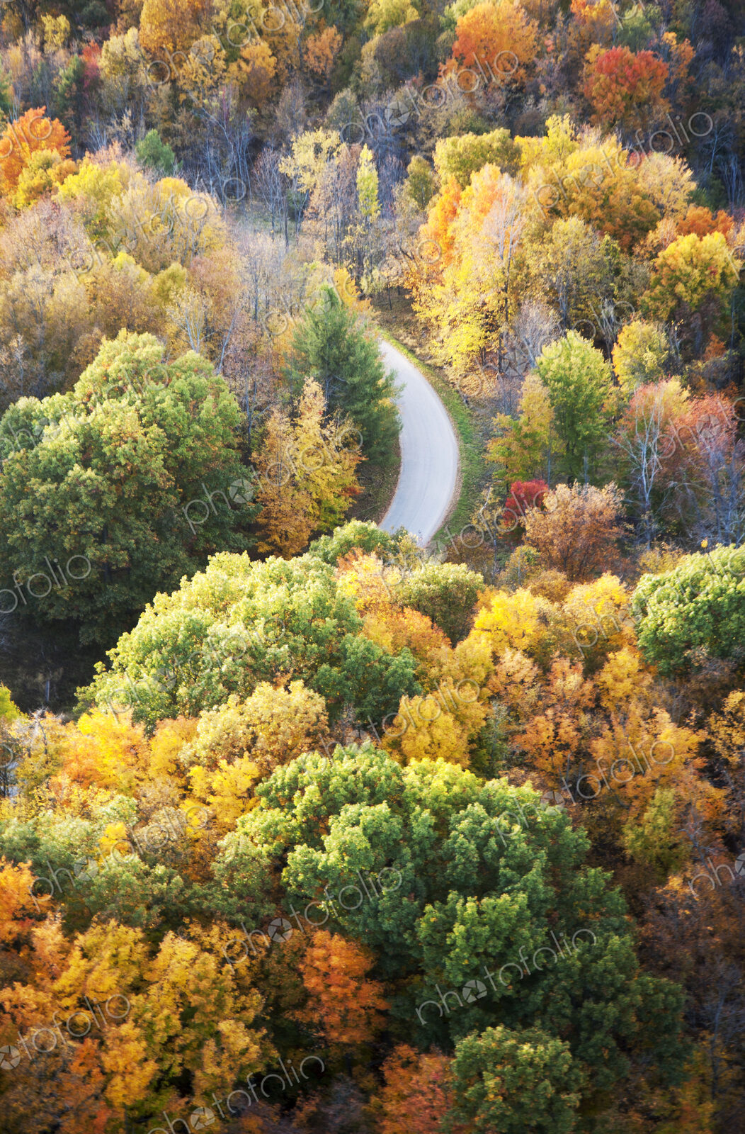 Road running through autumn forest seen from above.