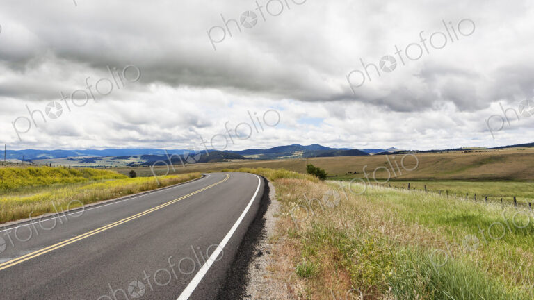 Road running through grassland.