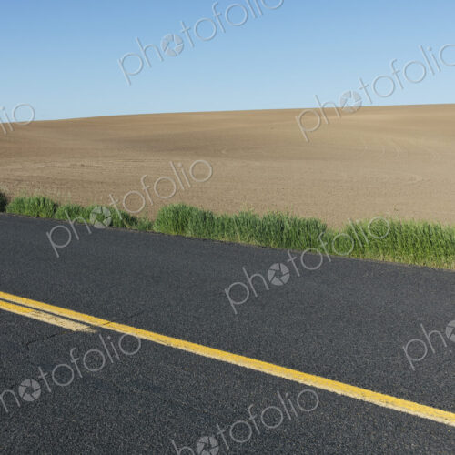Road through fertile farmland in Spring Road through fertile farmland in Spring