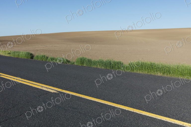 Road through fertile farmland in Spring