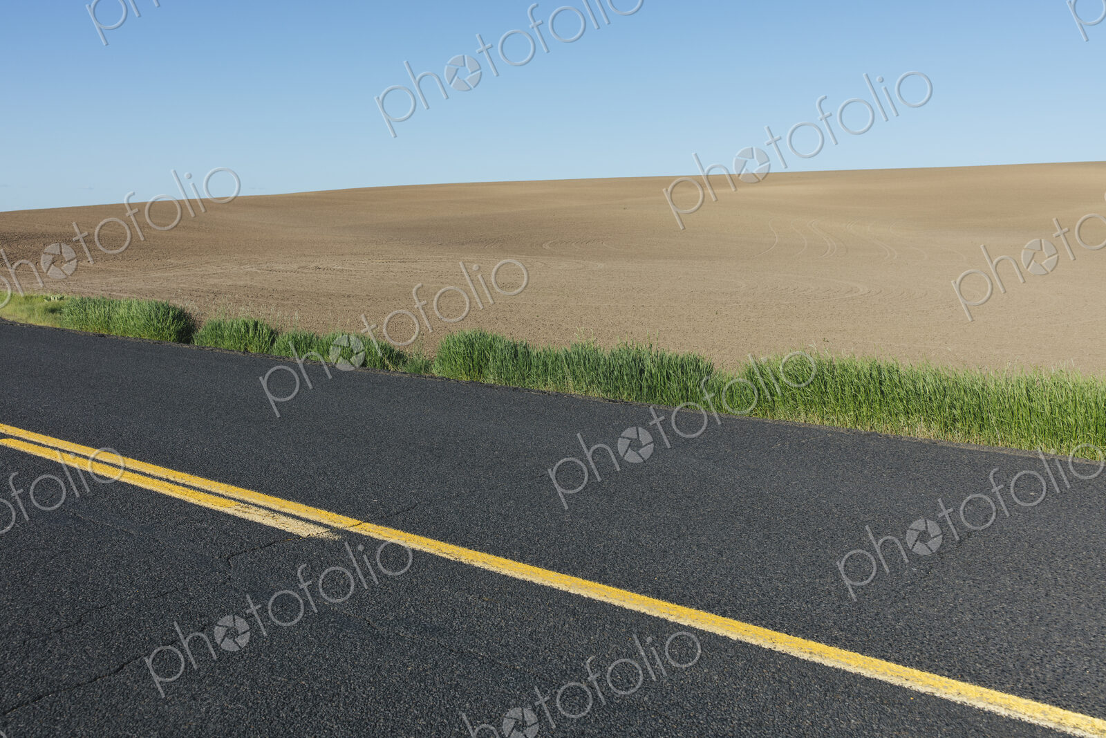Road through fertile farmland in Spring