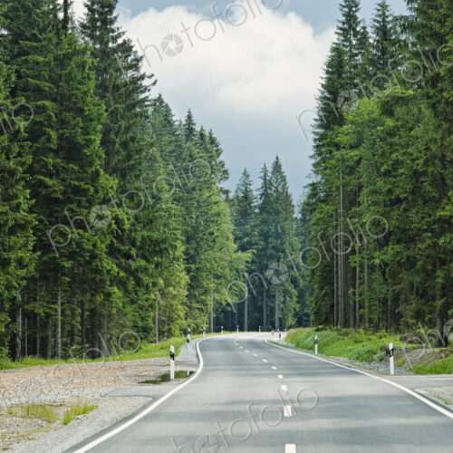 Road through forest, Bavaria, Germany, Europe Road through forest, Bavaria, Germany, Europe