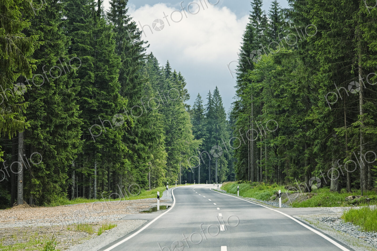 Road through forest, Bavaria, Germany, Europe