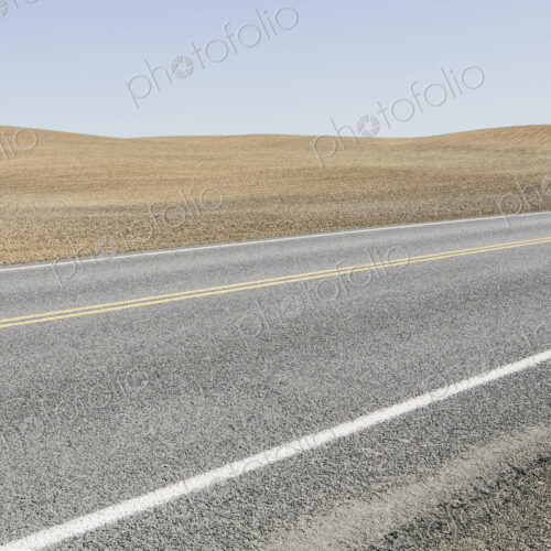 Road through plowed farmland, near Pullman