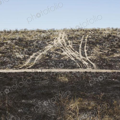 Roads extending through recently burned landscape Roads extending through recently burned landscape