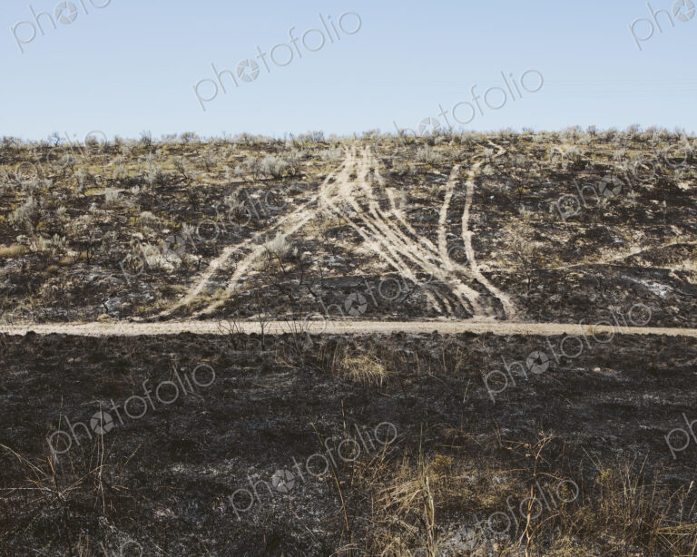 Roads extending through recently burned landscape