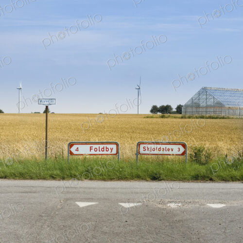 Roadside by Rye Field