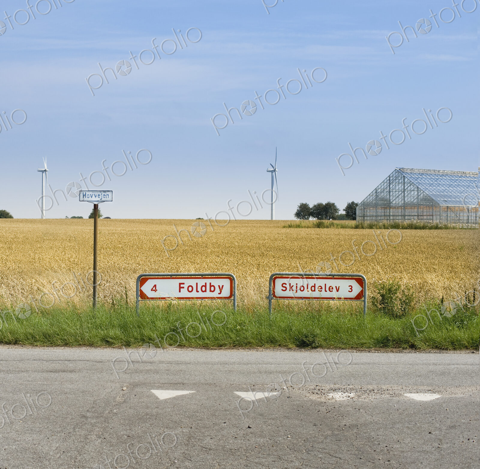 Roadside by Rye Field