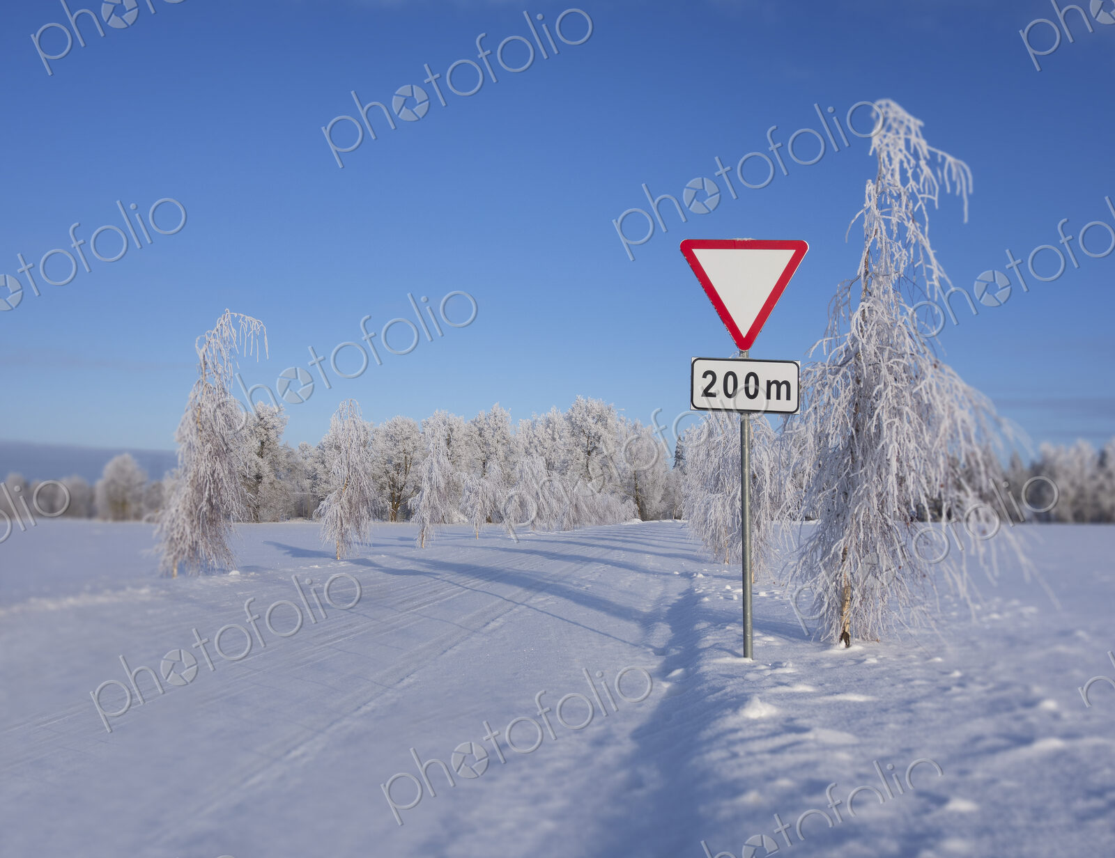 Roadside traffic sign in winter. Give way or yield road sign.