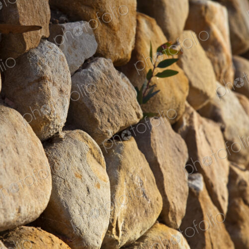Rock Wall