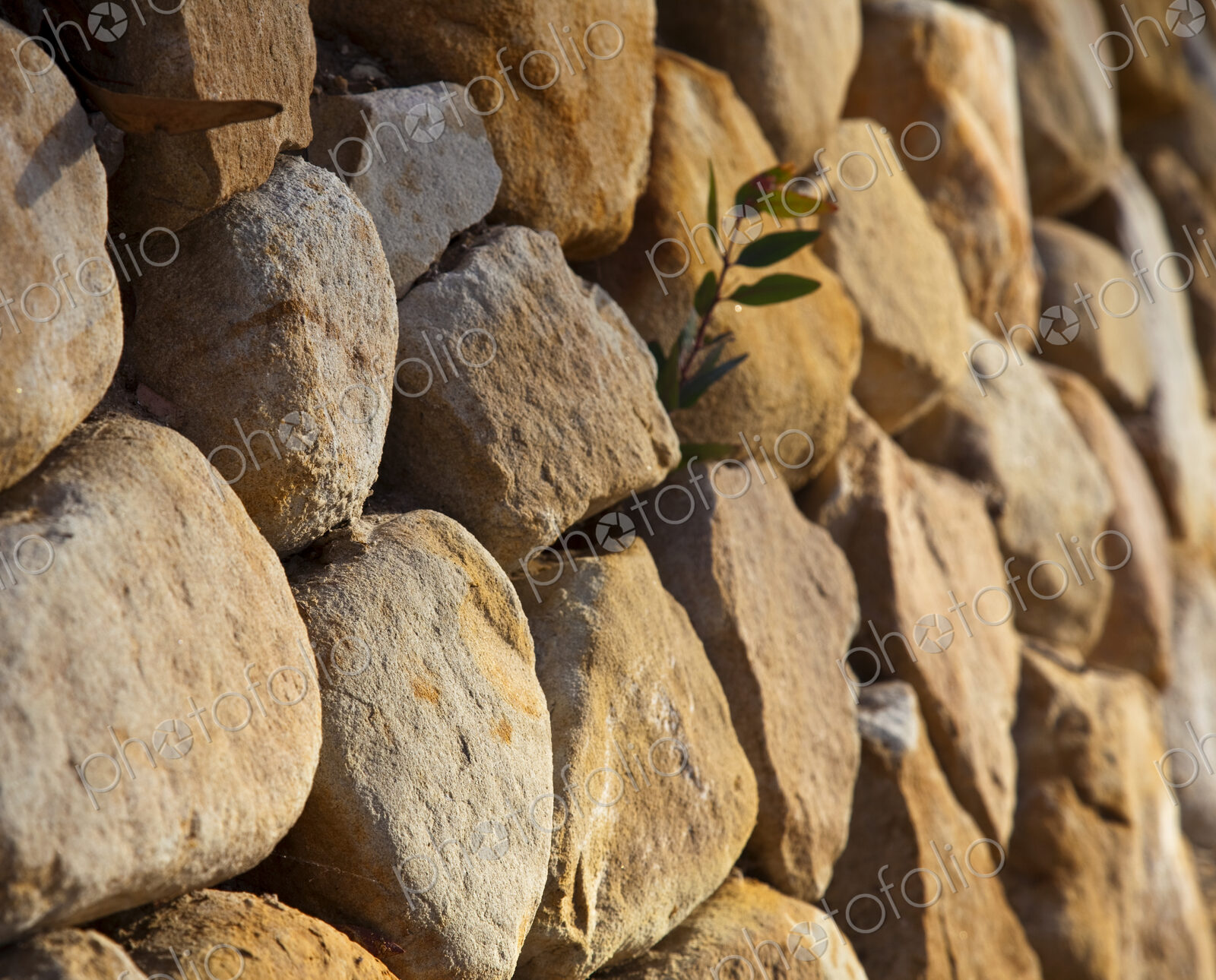 Rock Wall