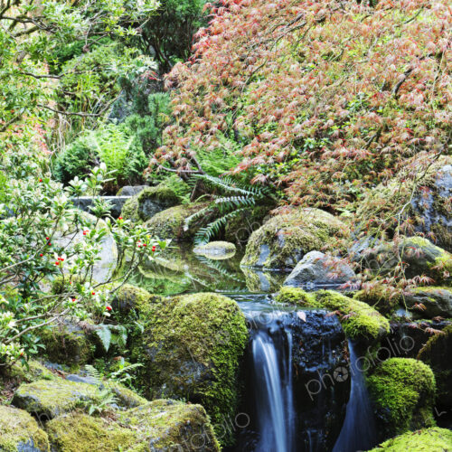 Rocky creek and still pool, Portland, Oregon, United States Rocky creek and still pool, Portland, Oregon, United States