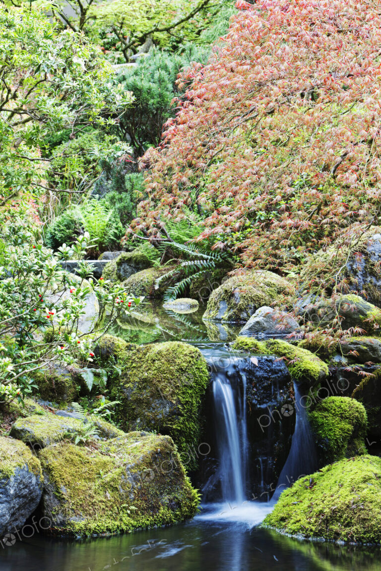 Rocky creek and still pool, Portland, Oregon, United States