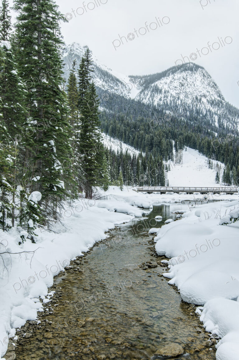 Rocky creek in snowy rural landscape