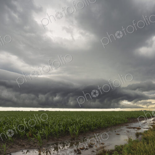 Roll cloud, a round tube formation hovering just above ground on the horizon, over a… Roll cloud, a round tube formation hovering just above ground on the horizon, over a…