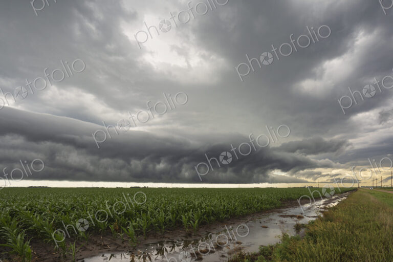Roll cloud, a round tube formation hovering just above ground on the horizon, over a…