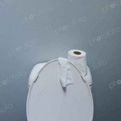 Roll of Paper on a Toilet Roll of Paper on a Toilet