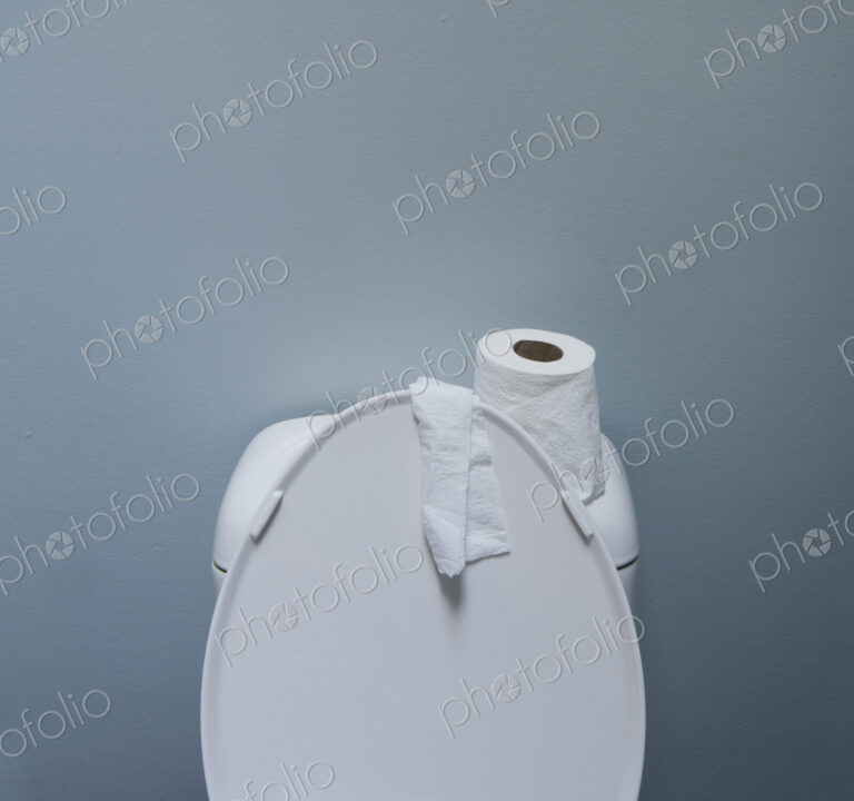 Roll of Paper on a Toilet