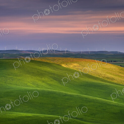 Rolling green hills in rural landscape Rolling green hills in rural landscape
