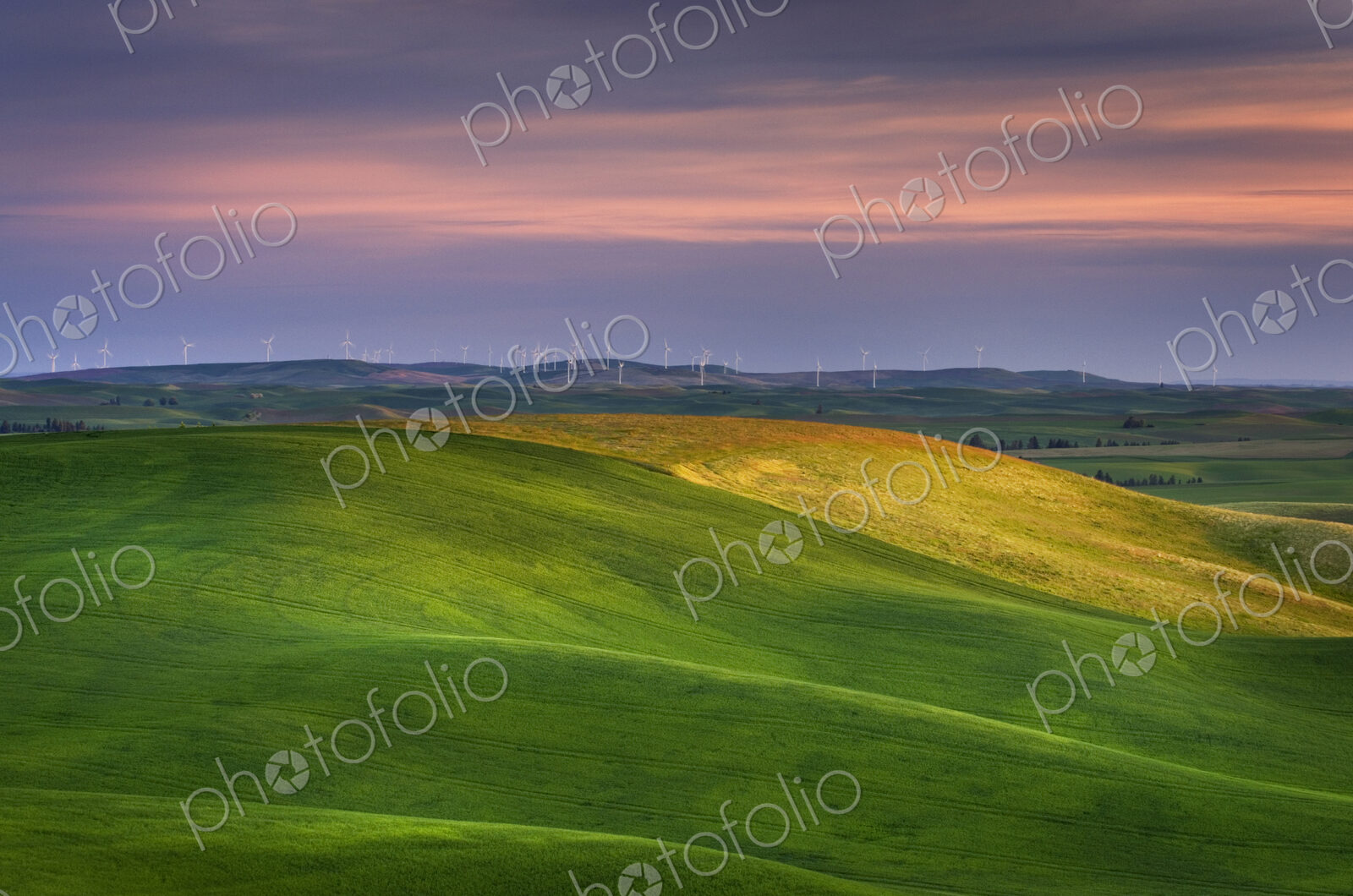 Rolling green hills in rural landscape