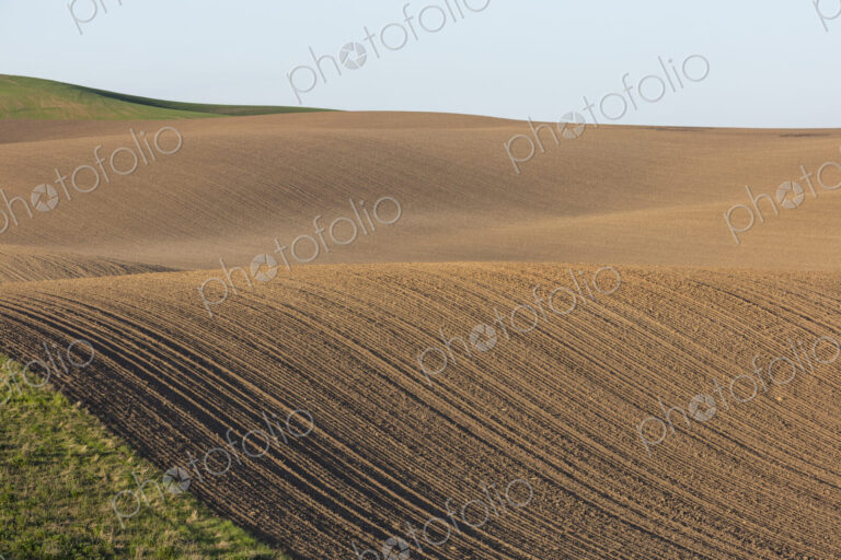 Rolling hills of tilled farmland in Spring