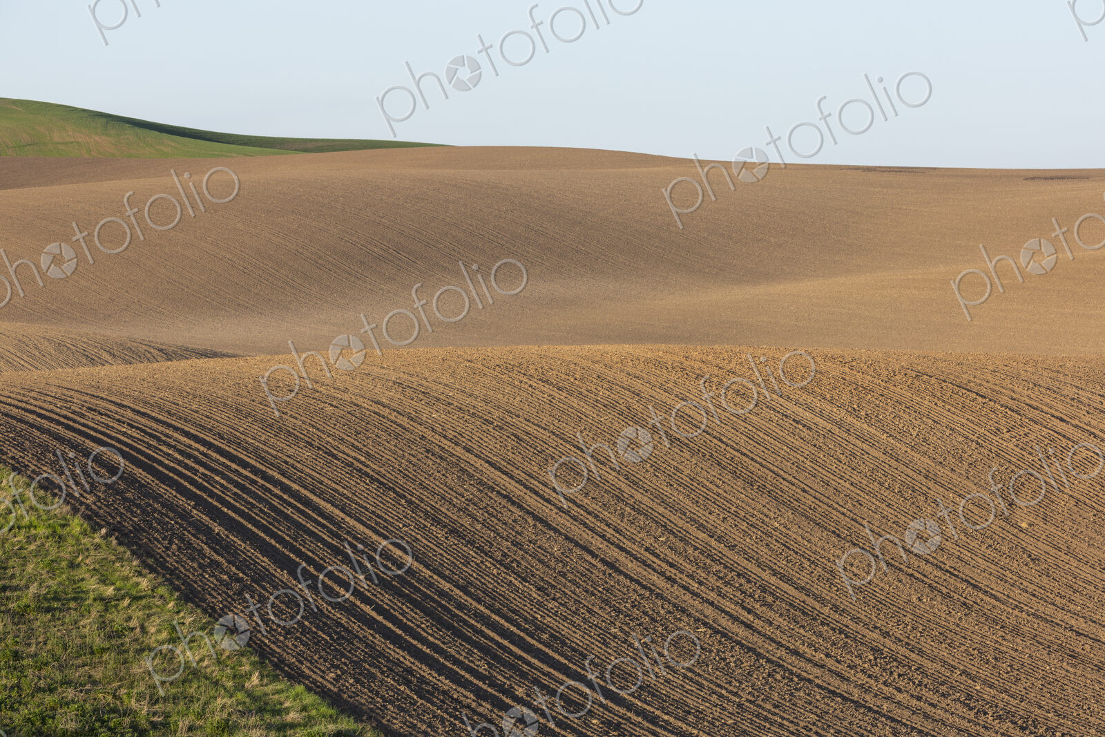 Rolling hills of tilled farmland in Spring