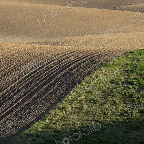 Rolling hills of tilled farmland in Spring Rolling hills of tilled farmland in Spring
