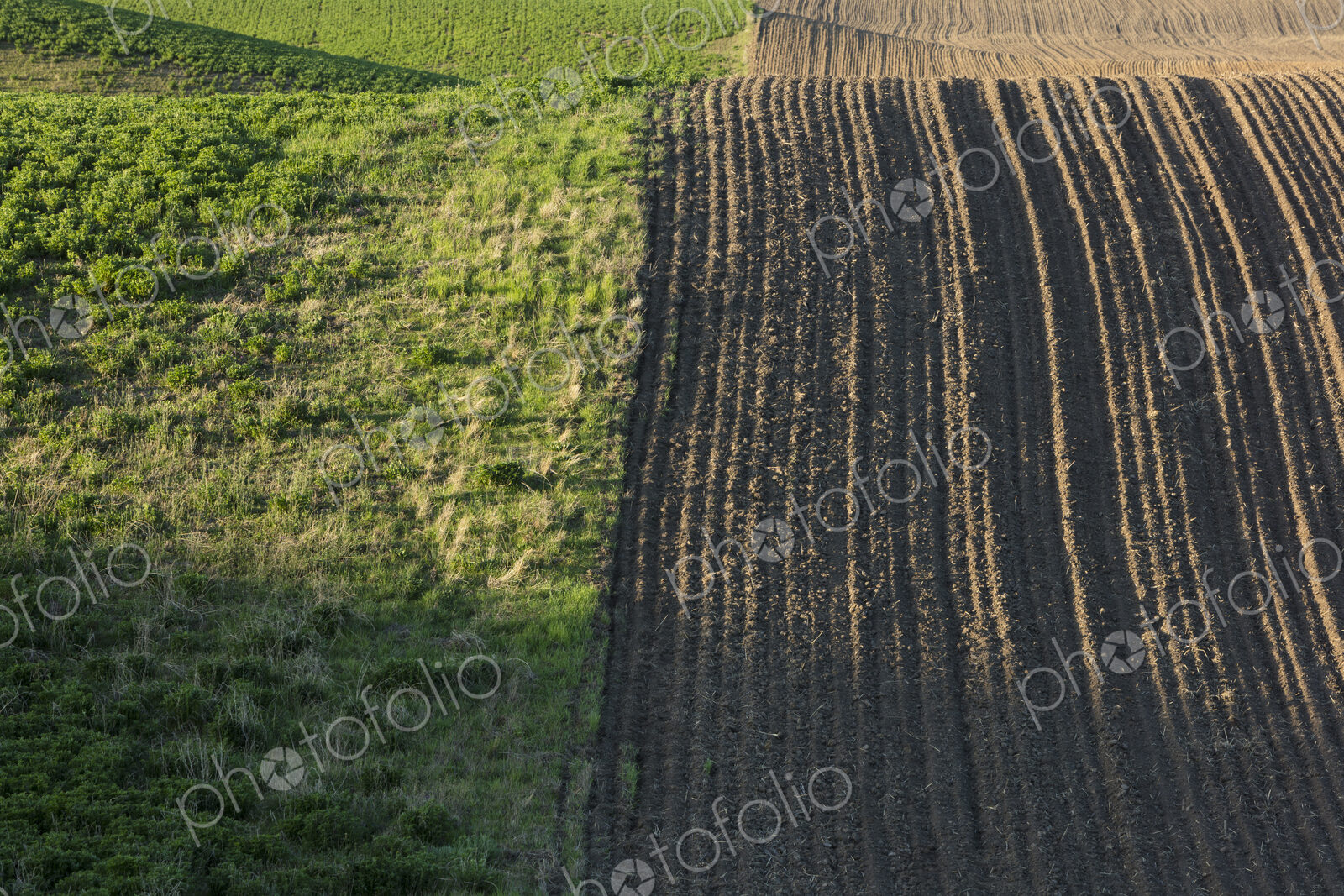 Rolling hills of tilled farmland in Spring