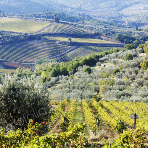Rolling rural landscape, Panzano, Tuscany, Italy Rolling rural landscape, Panzano, Tuscany, Italy