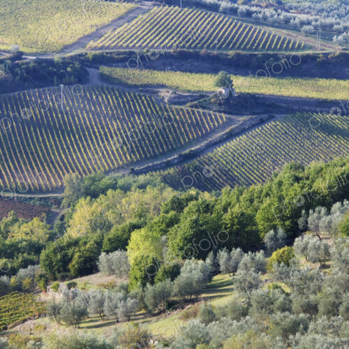 Rolling rural landscape, Panzano, Tuscany, Italy Rolling rural landscape, Panzano, Tuscany, Italy