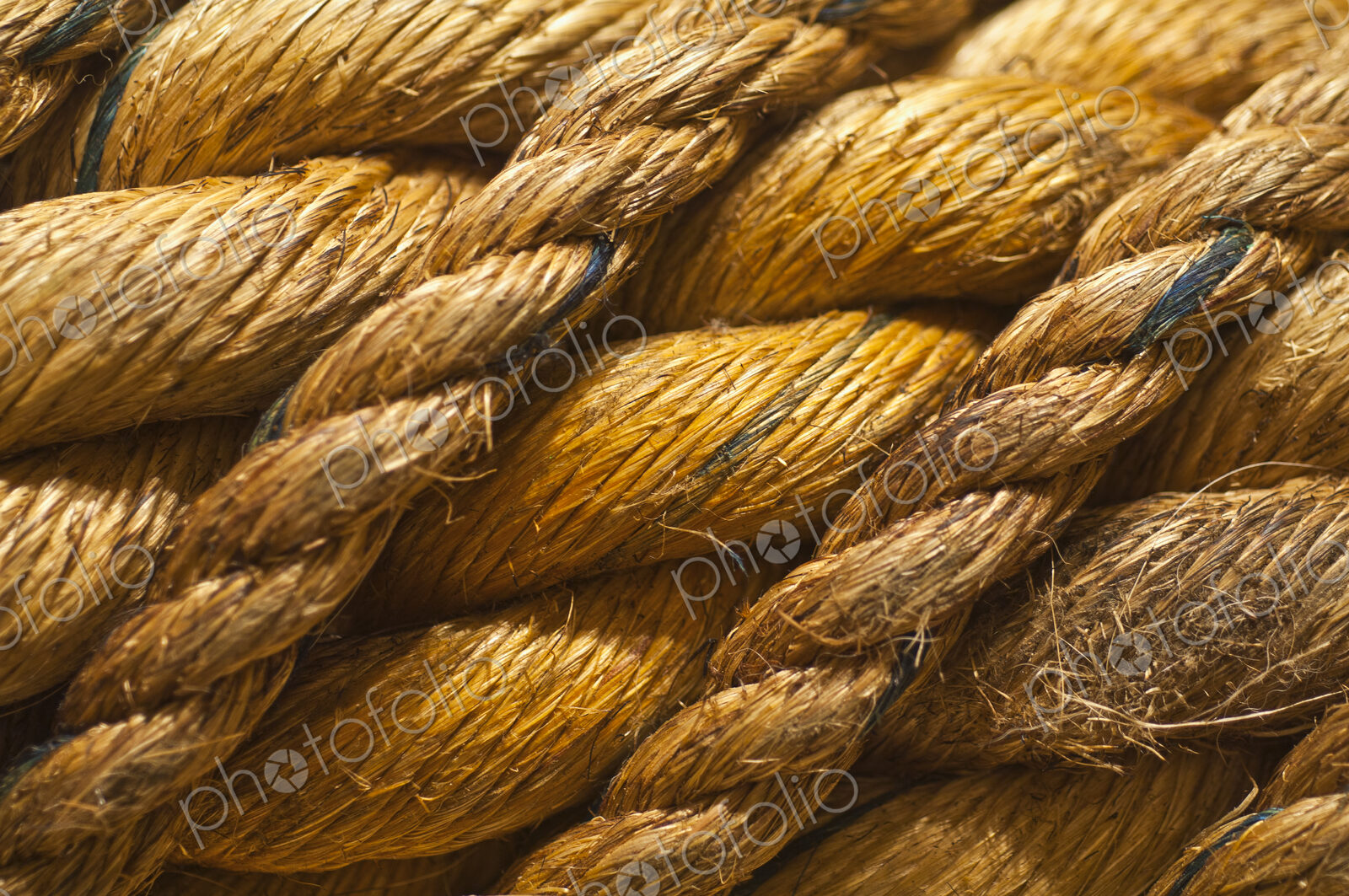 Rope Closeup
