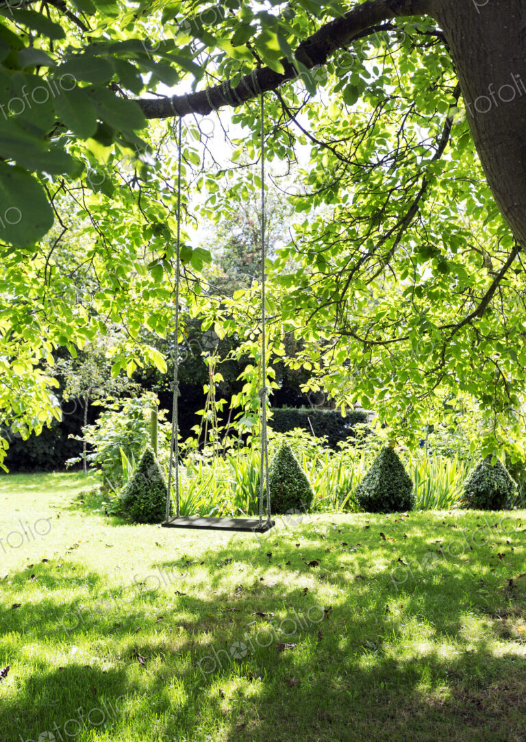 Rope swing hanging from tree branch