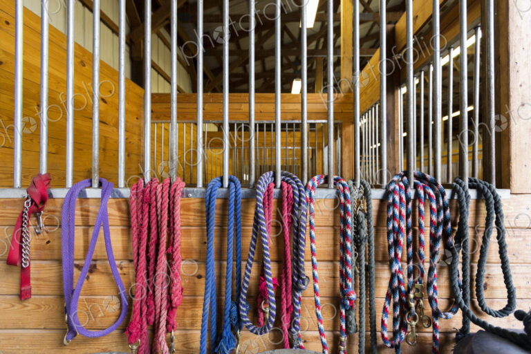 Ropes hanging from stalls in barn