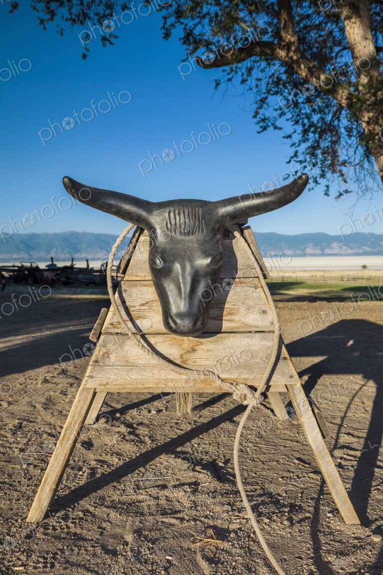 Roping dummy set up on dirt ranch ground, with coiled rope and mountain landscape in…