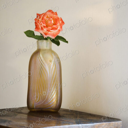 Rose in a glass vase on wooden table. Rose in a glass vase on wooden table.
