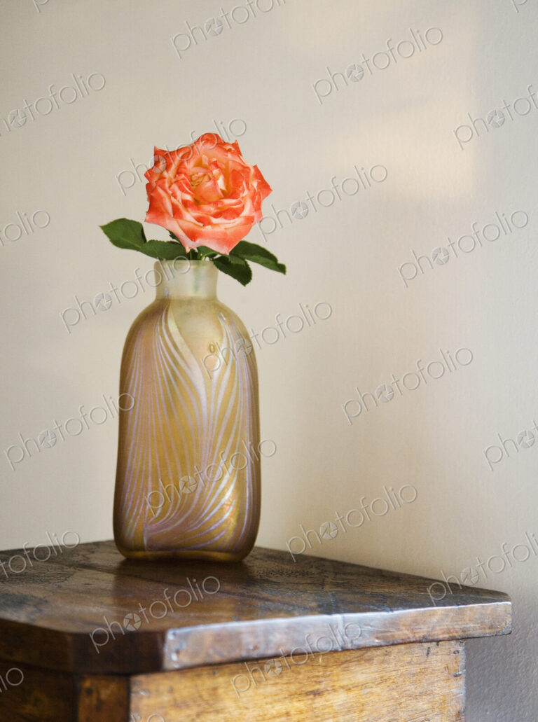 Rose in a glass vase on wooden table.