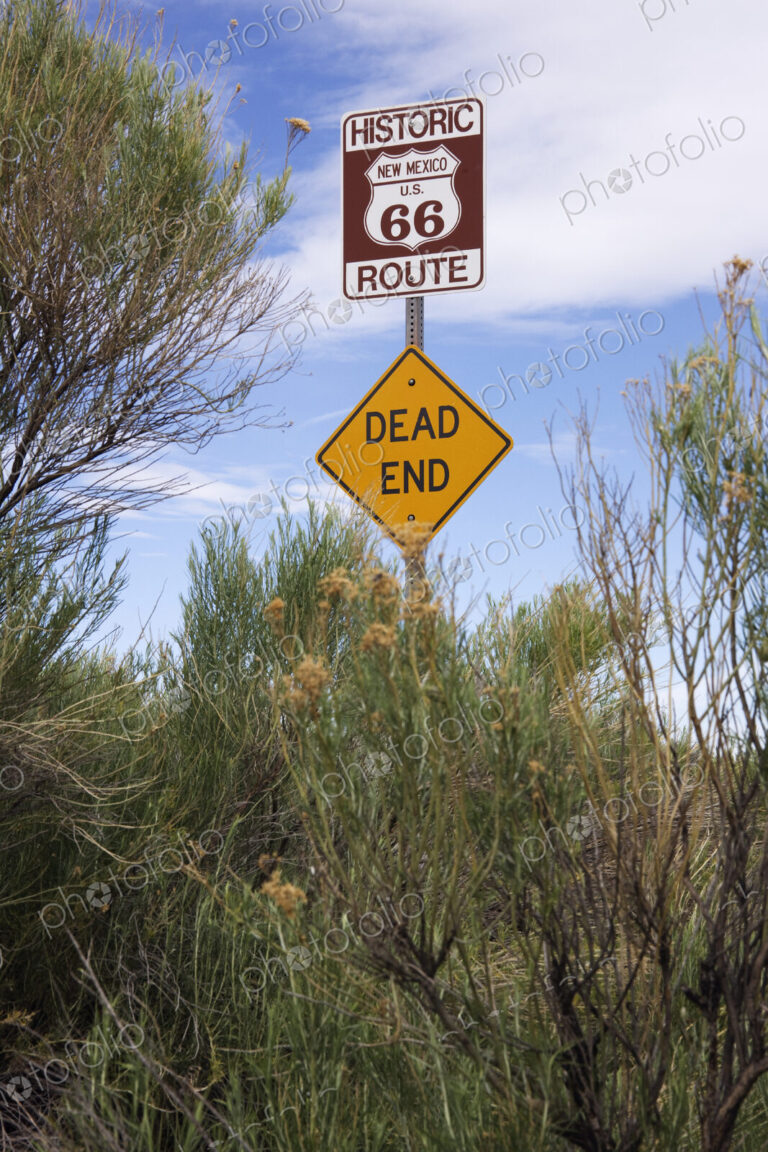 Route 66 and Dead End Signs