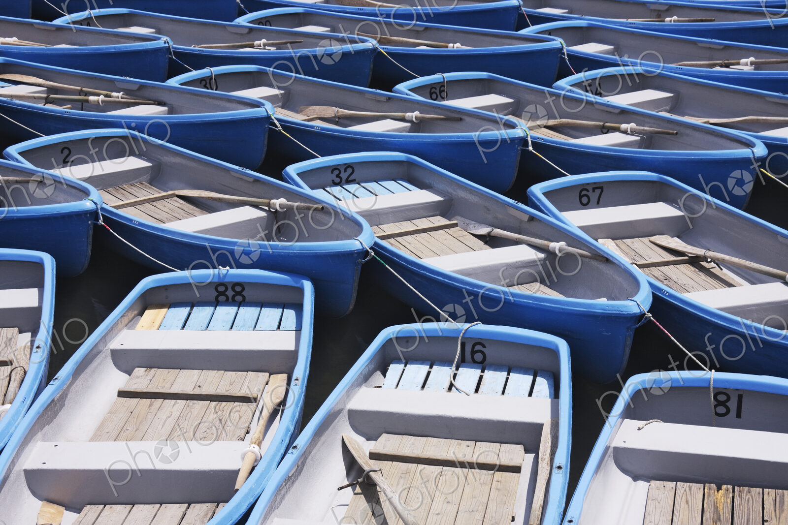 Row Boats For Hire