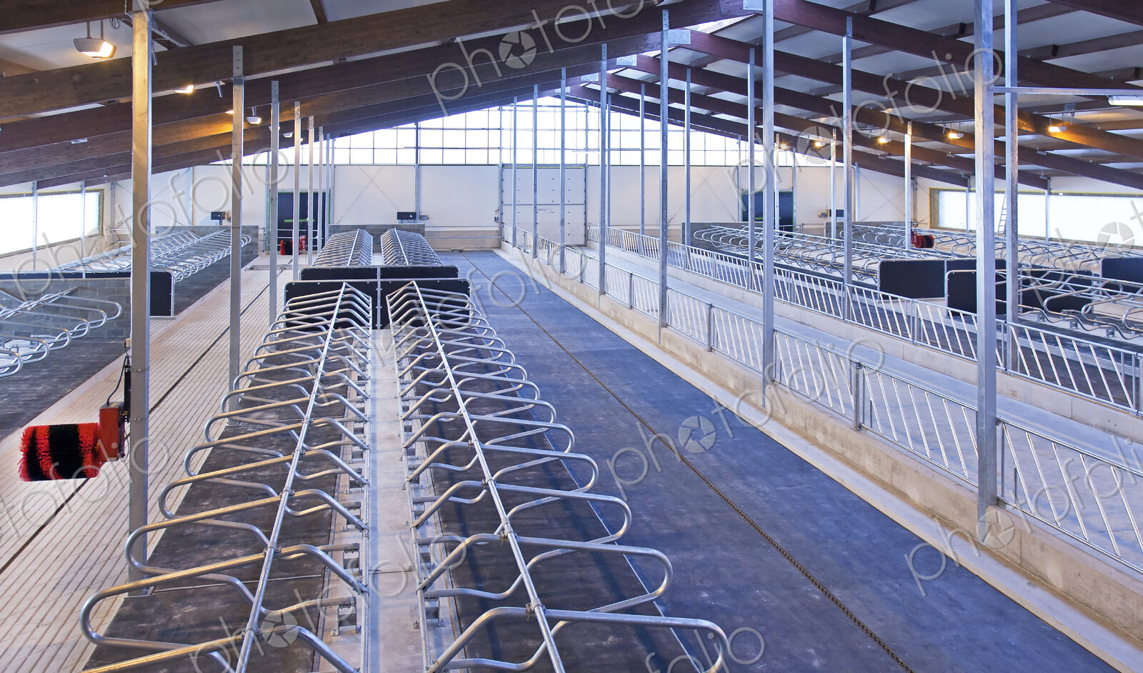 Row of Cattle Cubicles