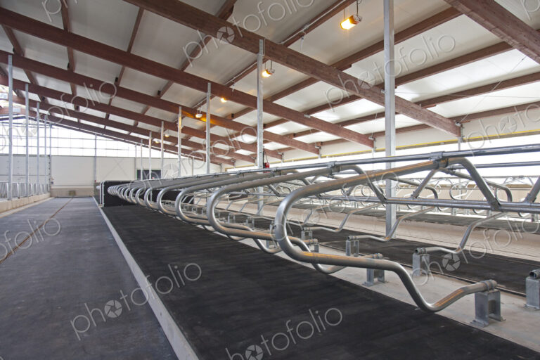 Row of Cattle Cubicles