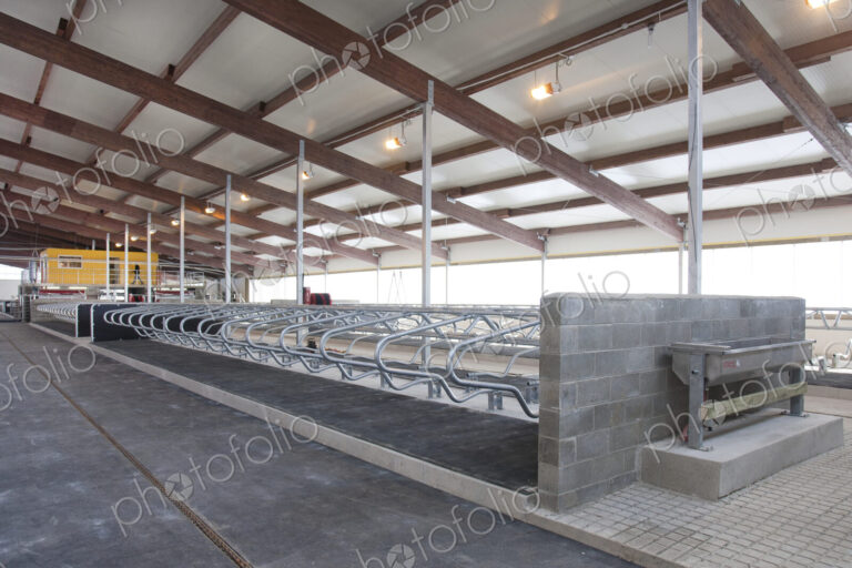 Row of Cattle Cubicles