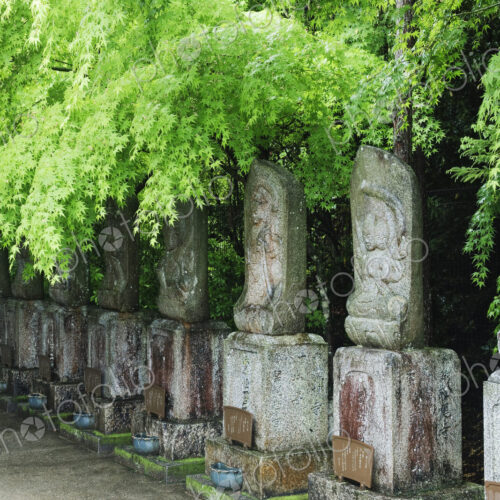 Row of Spiritual Statuary Row of Spiritual Statuary