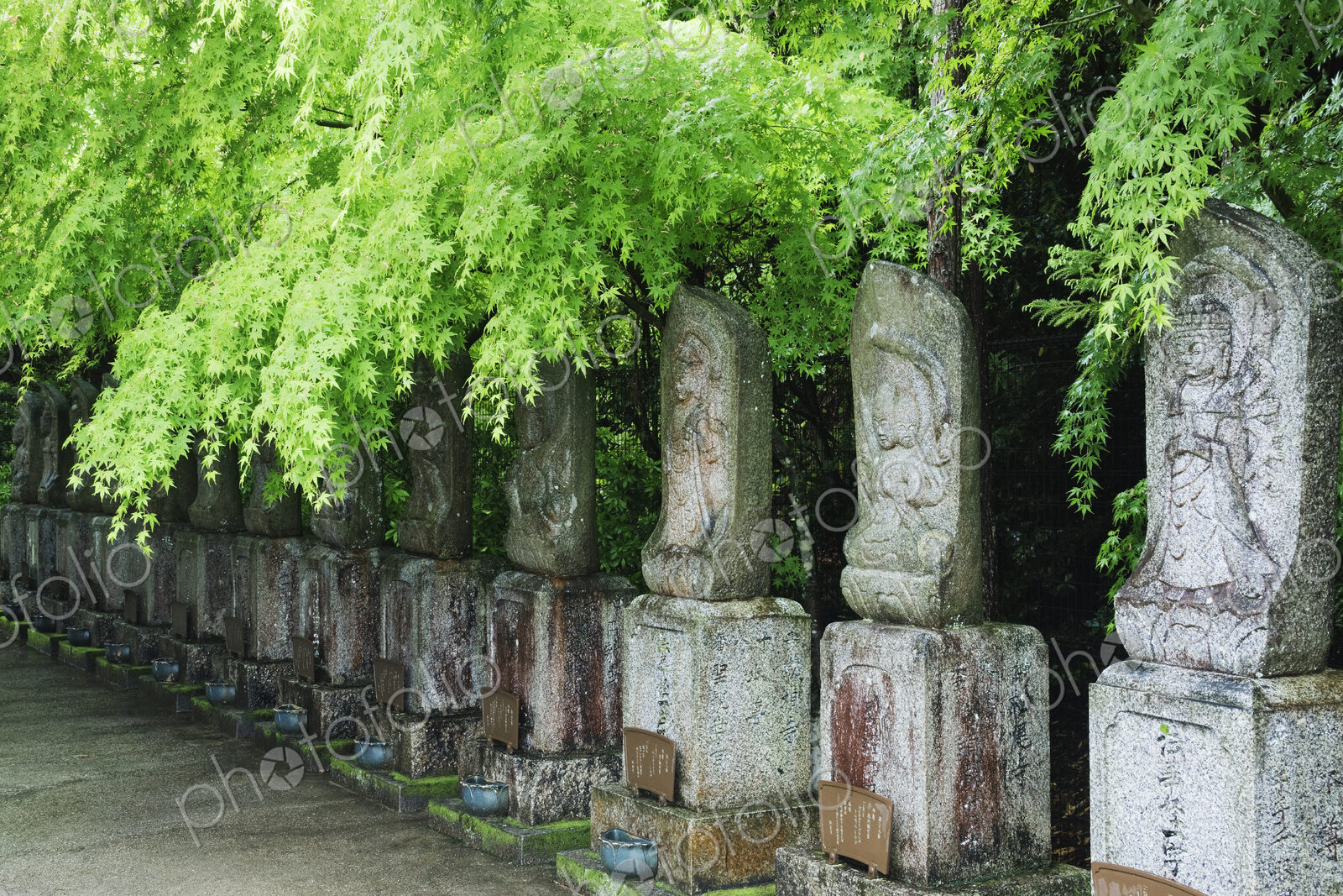 Row of Spiritual Statuary