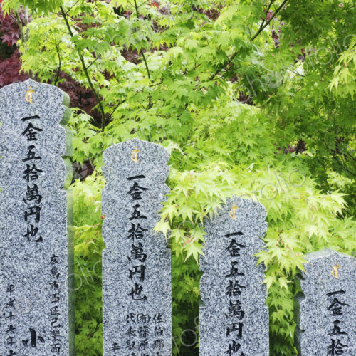 Row of Spiritual Statuary Row of Spiritual Statuary