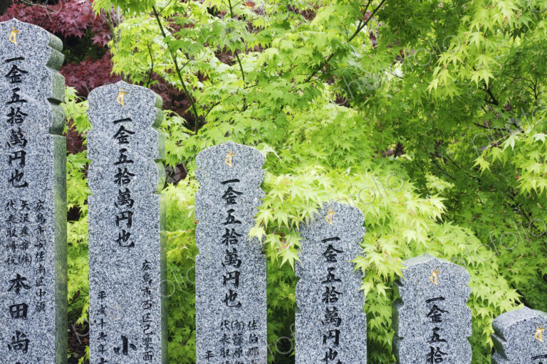 Row of Spiritual Statuary