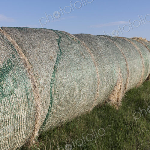 Row of hay bales, near Climax, Saskatchewan, Canada.