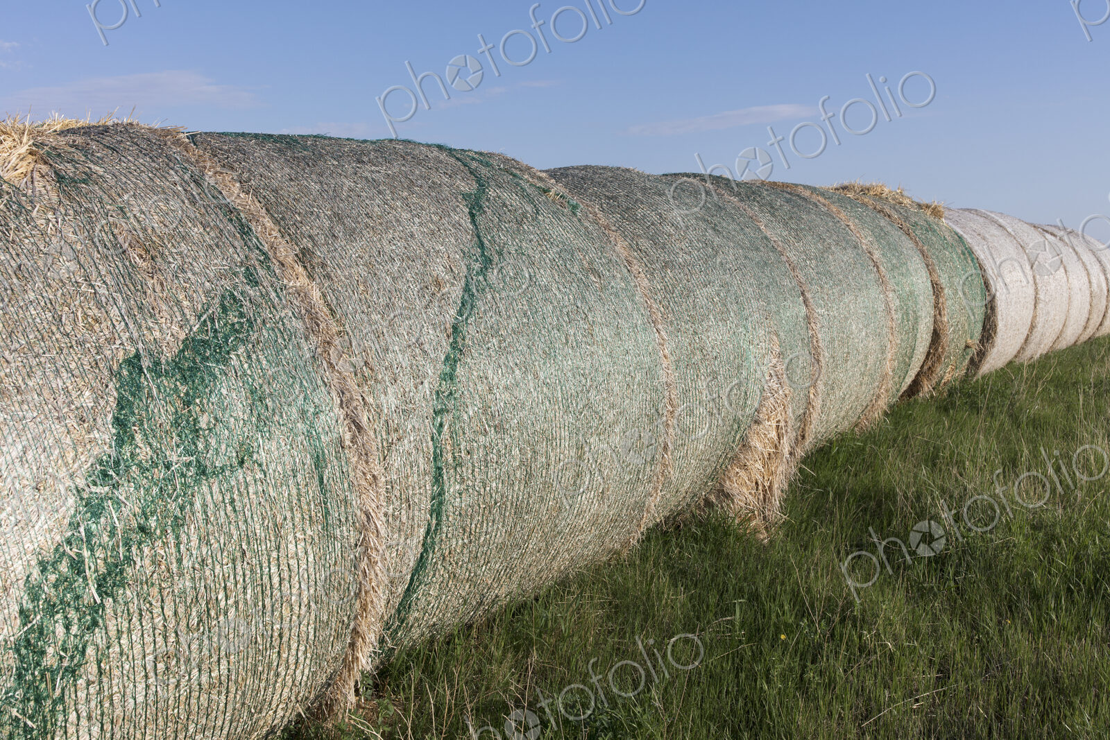 Row of hay bales, near Climax, Saskatchewan, Canada.