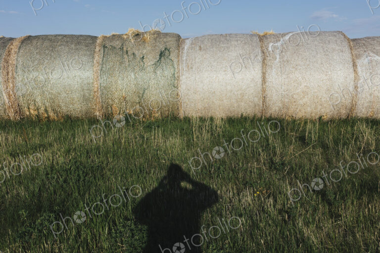 Row of hay bales, photographer's shadow in foreground, near Climax, Saskatchewan, Canada.